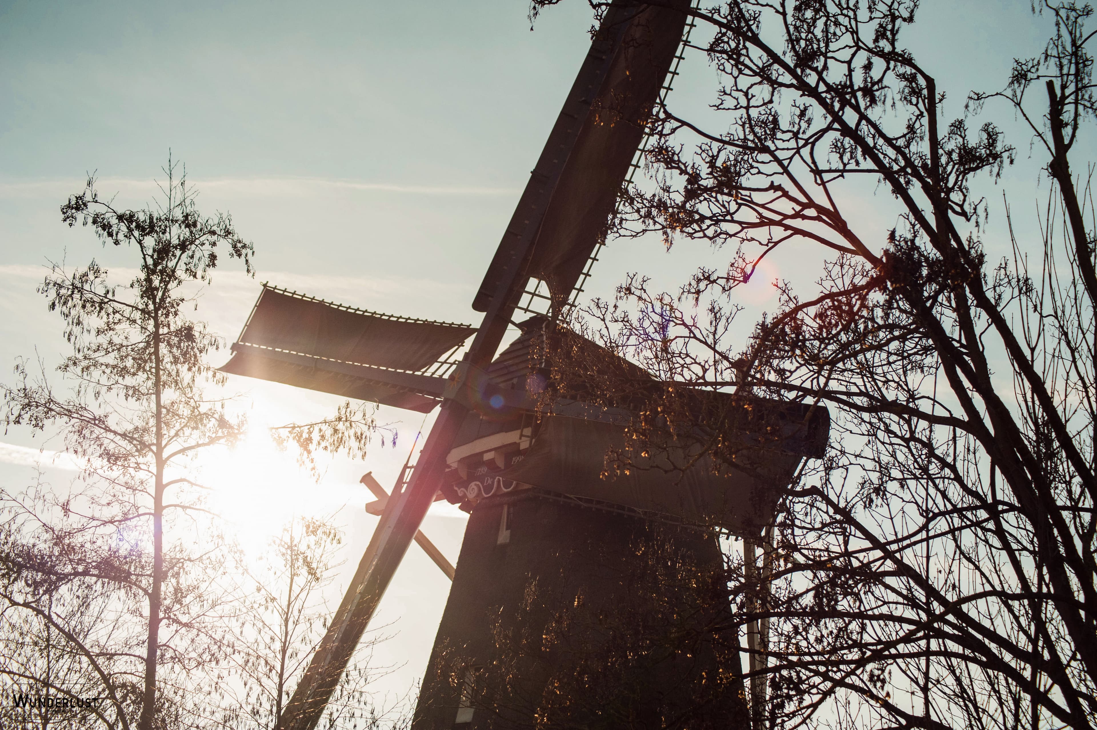 De wieken van de molen