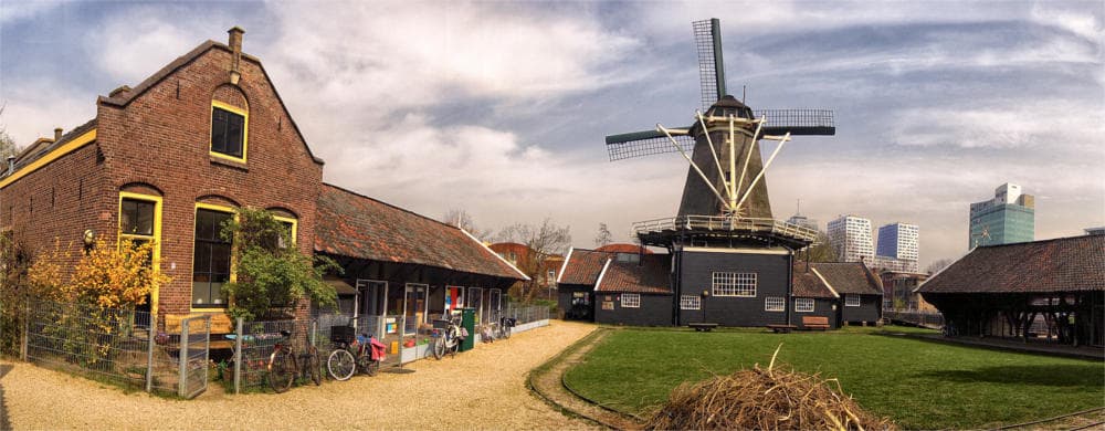 De molen in het landschap